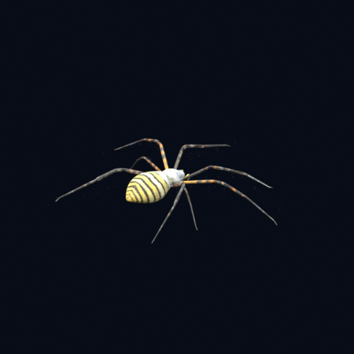 Vista de Araña de Umbra